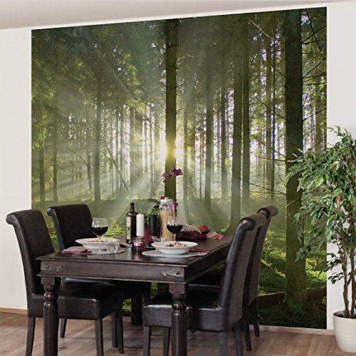 Apalis Vliestapete Spring Fairytale Fototapete Quadrat | Vlies Tapete Wandtapete Wandbild Foto 3D Fototapete für Schlafzimmer Wohnzimmer Küche | Größe: 288x288 cm, mehrfarbig, 98458 von Apalis