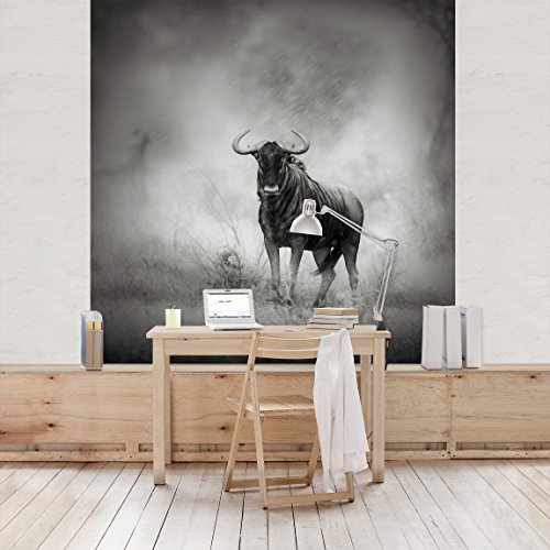 Apalis Vliestapete Staring Wildebeest Fototapete Quadrat | Vlies Tapete Wandtapete Wandbild Foto 3D Fototapete für Schlafzimmer Wohnzimmer Küche | Größe: 336x336 cm, grau, 98035 von Apalis
