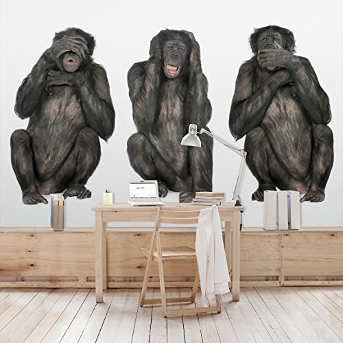 Apalis Vliestapete Three Wise Monkeys Fototapete Breit | Vlies Tapete Wandtapete Wandbild Foto 3D Fototapete für Schlafzimmer Wohnzimmer Küche | mehrfarbig, 94836 von Apalis