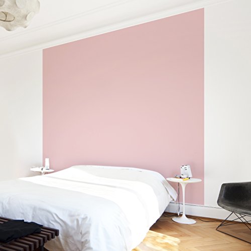 Apalis Vliestapete Uni Quadrat | Vlies Tapete Wandtapete Wandbild Foto 3D Fototapete für Schlafzimmer Wohnzimmer Küche | Größe: 240x240 cm, rosa, 98442 von Apalis