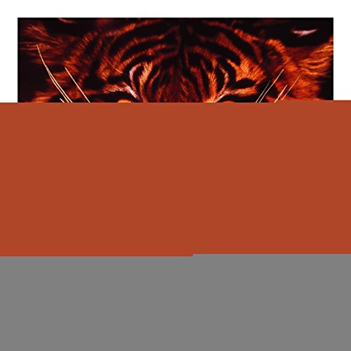 Apalis Vliestapete Wilder Tiger Fototapete Quadrat | Vlies Tapete Wandtapete Wandbild Foto 3D Fototapete für Schlafzimmer Wohnzimmer Küche | Größe: 288x288 cm, rot, 98151 von Apalis