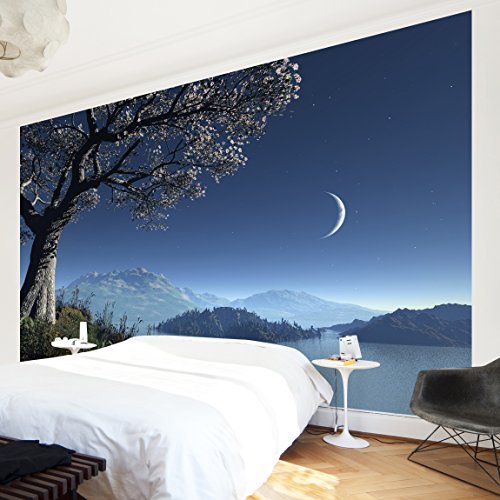 Apalis Vliestapete Winter Fairytale Fototapete Breit | Vlies Tapete Wandtapete Wandbild Foto 3D Fototapete für Schlafzimmer Wohnzimmer Küche | blau, 95047 von Apalis