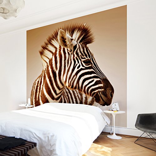 Apalis Vliestapete Zebra Baby Portrait Fototapete Quadrat | Vlies Tapete Wandtapete Wandbild Foto 3D Fototapete für Schlafzimmer Wohnzimmer Küche | Größe: 192x192 cm, beige, 98163 von Apalis