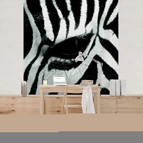 Apalis Vliestapete Zebra Crossing Fototapete Quadrat | Vlies Tapete Wandtapete Wandbild Foto 3D Fototapete für Schlafzimmer Wohnzimmer Küche | Größe: 288x288 cm, schwarz, 98164 von Apalis
