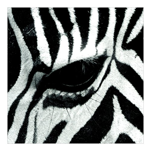 Apalis Vliestapete Zebra Crossing Fototapete Quadrat | Vlies Tapete Wandtapete Wandbild Foto 3D Fototapete für Schlafzimmer Wohnzimmer Küche | Größe: 336x336 cm, schwarz, 98164 von Apalis