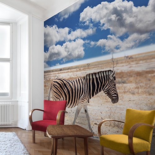 Apalis Vliestapete Zebra in der Savanne Fototapete Quadrat | Vlies Tapete Wandtapete Wandbild Foto 3D Fototapete für Schlafzimmer Wohnzimmer Küche | Größe: 240x240 cm, blau, 98165 von Apalis