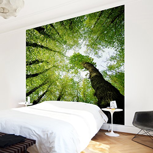 Apalis Waldtapete Vliestapete Bäume des Lebens Fototapete Quadrat | Vlies Tapete Wandtapete Wandbild Foto 3D Fototapete für Schlafzimmer Wohnzimmer Küche | Größe: 192x192 cm, grün, 95268 von Apalis