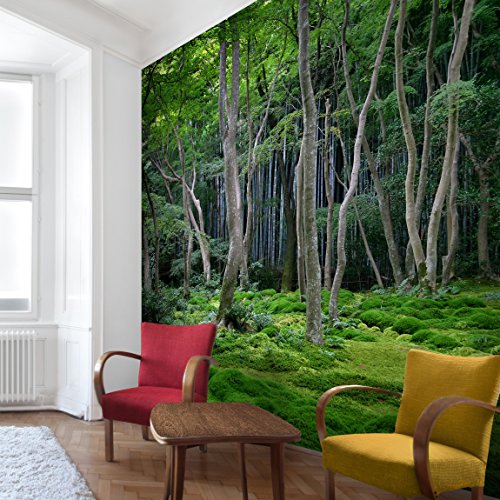 Apalis Waldtapete Vliestapete Japanischer Fototapete Quadrat | Vlies Tapete Wandtapete Wandbild Foto 3D Fototapete für Schlafzimmer Wohnzimmer Küche | Größe: 240x240 cm, grün, 95360 von Apalis