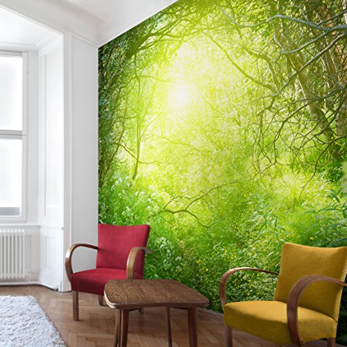 Apalis Waldtapete Vliestapete Traumzauberwald Fototapete Wald Quadrat | Vlies Tapete Wandtapete Wandbild Foto 3D Fototapete für Schlafzimmer Wohnzimmer Küche | Größe: 192x192 cm, mehrfarbig, 98094 von Apalis