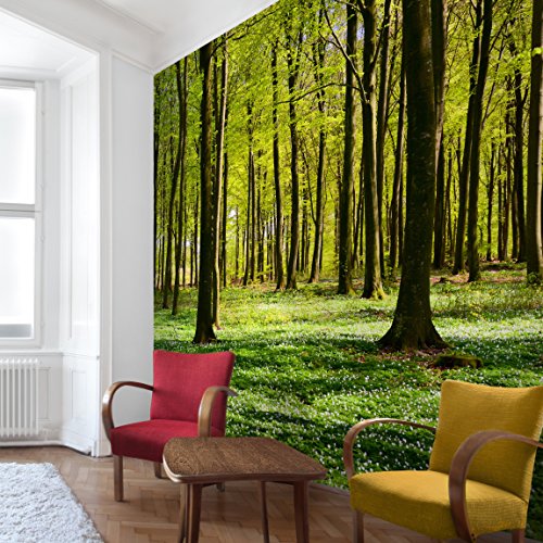 Apalis Waldtapete Vliestapete Waldwiese Fototapete Wald Quadrat | Vlies Tapete Wandtapete Wandbild Foto 3D Fototapete für Schlafzimmer Wohnzimmer Küche | Größe: 192x192 cm, grün, 95499 von Apalis