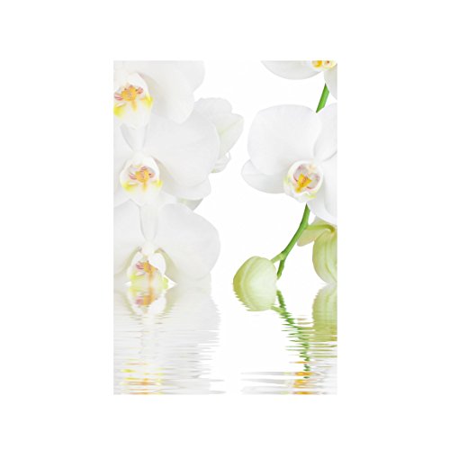 Fensterfolie Sichtschutz Fensterbild Wellness Orchidee Aufkleber 108 x 72cm von Apalis