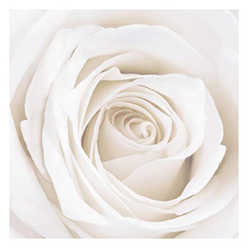 Apalis Vliestapete Blumentapete Pretty White Rose, HxB: 192cm x 192cm von Apalis