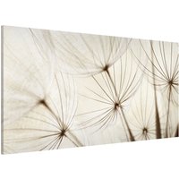 Magnettafel - Sanfte Gräser | Memoboard Magnetisch Magnetboard Wandtafel Wandbilder von ApalisHOME