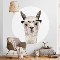 Runde Tapete Selbstklebend - Hippes Lama Mit Brille I | Schlafzimmer Fototapete von ApalisHOME