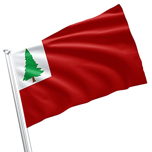 Lincoln County Maine Flagge, Banner, lebendige Farben, doppelt genähte Messingösen, 90 x 152 cm von Apedes