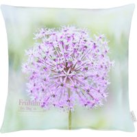 APELT Dekokissen "6723" von Apelt