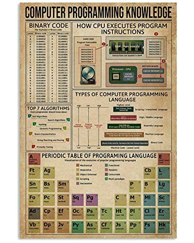 Aperiy Lustiges Metallschild mit englischer Aufschrift "Computer Programming Wissens", 30,5 x 20,3 cm von Aperiy