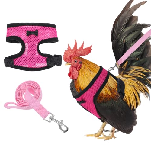 1 Stück Hühner Geschirr mit Leine Verstellbares Hühnergeschirr Atmungsaktives Hühner Trainingsgeschirr zum Trainieren und Spazierengehen mit Hühnern, Enten, Gänsen und Kleinen Haustieren (Pink, S) von Aphumedc