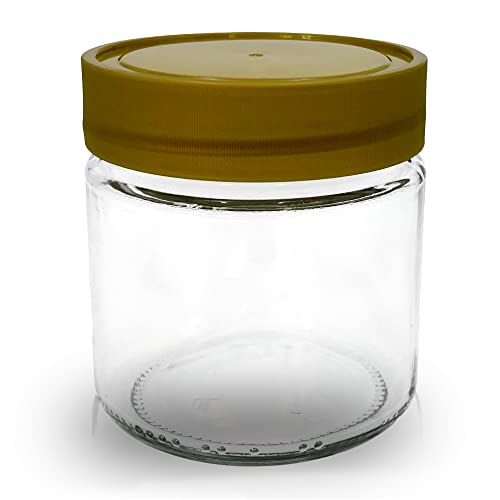 Apoidea – Honiggläser 250g mit Kunststoff-Deckel 12 Stück / Honiggläser 250g mit Deckel / Honigglas Neutralglas / Hochwertige Honig Gläser für Ihren eigenen Honig von Apoidea