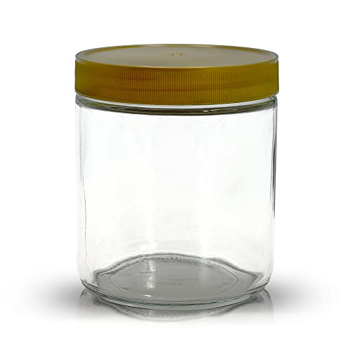 Apoidea – Honiggläser 500g mit Kunststoff-Deckel 24 Stück/Honiggläser 500g mit Deckel/Honigglas Neutralglas/Hochwertige Honig Gläser für Ihren eigenen Honig von Apoidea