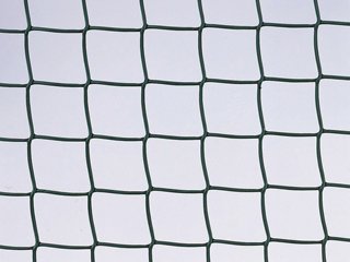 Apollo 30 x 1 m klettern Pflanze Support mit 50 mm Mesh – Grün von Apollo