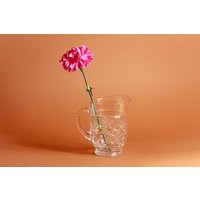 60Er Jahre Vintage Runde Klar Geätzt Glas Krug Vase Mit Griff von AppleBranchesVintage