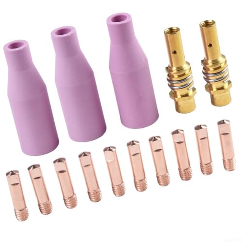 15-teiliges Ersatz-Schweißbrennerdüsen-Set inkl. Steingutdüsen und Kupfer-Kontaktspitzen für MIG-Taschenlampe für 15AK und MB15 (1,0 mm) von Aprilsunnyzone