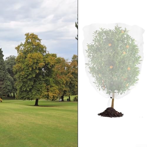 Gartenpflanzenschutznetz mit Reißverschluss und Kordelzug, entworfen für einfache Verwendung und Insektenschutz für mehrere Pflanzenarten (3 x 4 m) von Aprilsunnyzone