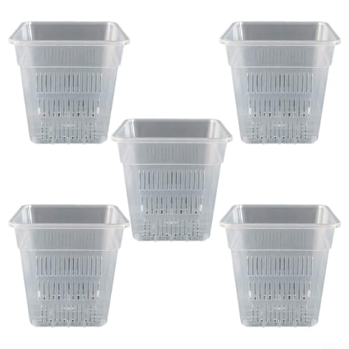 Quadratischer Orchideentopf für effektive Pflanzenpflege mit atmungsaktivem Design und Wurzelbeobachtung (12 cm ohne Tablett) von Aprilsunnyzone