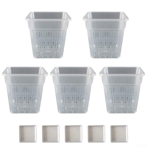 Quadratischer Orchideentopf für effektive Pflanzenpflege mit atmungsaktivem Design und Wurzelbeobachtung (15 cm mit Tablett) von Aprilsunnyzone