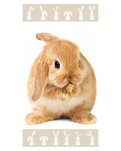 Aptex Bath Towel Beach Towel with Rabbit 70 x 140 cm von Aptex