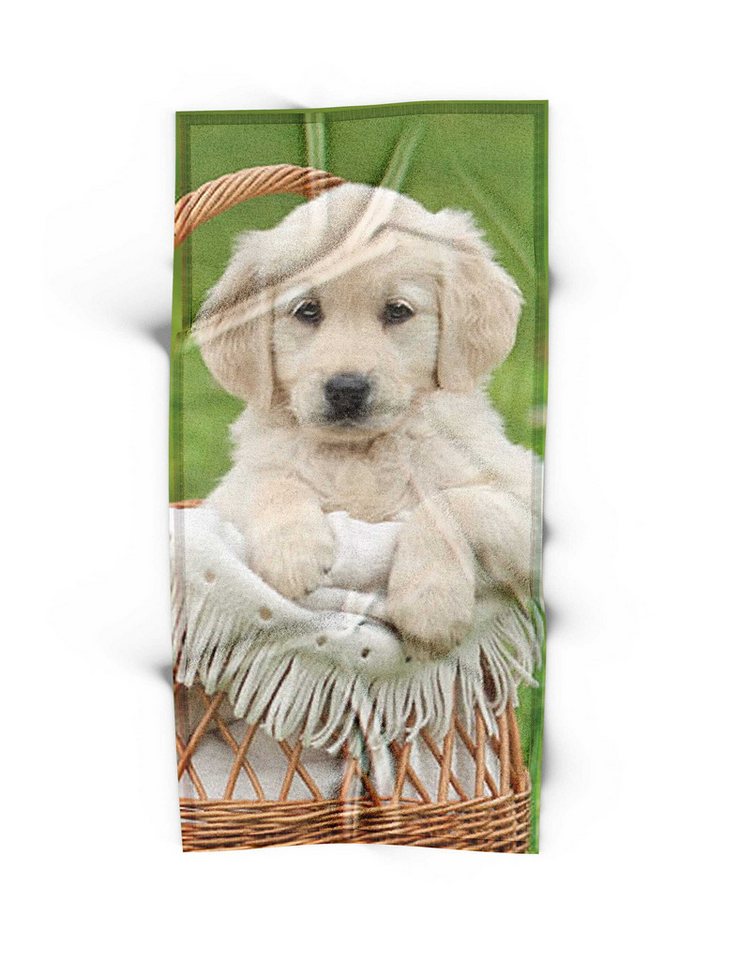 Aptex Kapuzenhandtuch Handtuch Hund, 100% Baumwolle (1-St) von Aptex