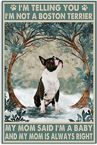Blechschild, Wanddekoration, Boston Terrier, I Am Telling You, Retro-Metallschilder, Vintage-Raumdekoration, ästhetische Wandkunst, Blechschild, Geschenk für Garage, Badezimmer, Wohnzimmer Blechschild, Wanddekoration, Boston Terrier, I Am Telling You, Retro-Metallschilder, Vintage-Raumdekoration, ästhetische Wandkunst, Blechschild, Geschenk für Garage, Badezimmer, Wohnzimmer von Apular