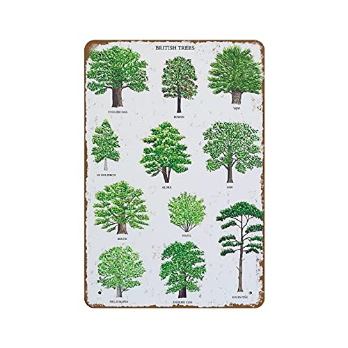 British Trees Print Aquarell Baum Druck Baum Kunst Baum Illustration British Nature Print Baum Identifikationstabelle Neuheit Busted Knuckle Garage Schweißgeschäft Retro Blechschild 20,3 x 30,5 cm von Apular