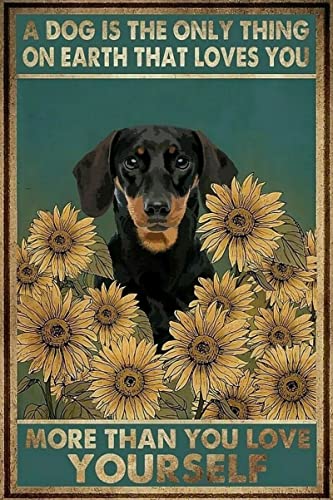 Metall-Blechschild, 20,3 x 30,5 cm, Hunde-Blumen-Gartenarbeit, weil Mord ist falsch, Wanddekoration, Geburtstagsgeschenk, Garten, Hof, Schilder, Vintage-Druckschild Metall-Blechschild, 20,3 x 30,5 cm, Hunde-Blumen-Gartenarbeit, weil Mord ist falsch, Wanddekoration, Geburtstagsgeschenk, Garten, Hof, Schilder, Vintage-Druckschild von Apular