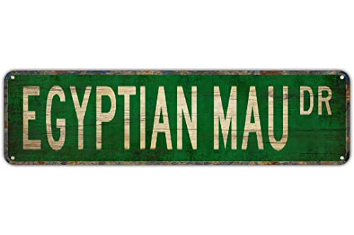 Vintage Decor Wandschilder Ägyptische Mau, ägyptische Mau, Liebhaber, ägyptisches Mau-Schild, ägyptisches Blech-Metall-Straßenschild, Lane Avenue, Straßenschild, Grün, 40,6 x 10,2 cm Vintage Decor Wandschilder Ägyptische Mau, ägyptische Mau, Liebhaber, ägyptisches Mau-Schild, ägyptisches Blech-Metall-Straßenschild, Lane Avenue, Straßenschild, Grün, 40,6 x 10,2 cm von Apular