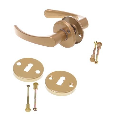 Aqbau® Rosettengarnitur Türgriff Set Türdrücker Drückergarnitur Türbeschlag Türklinke Gold (BB - Buntbart) von Aqbau