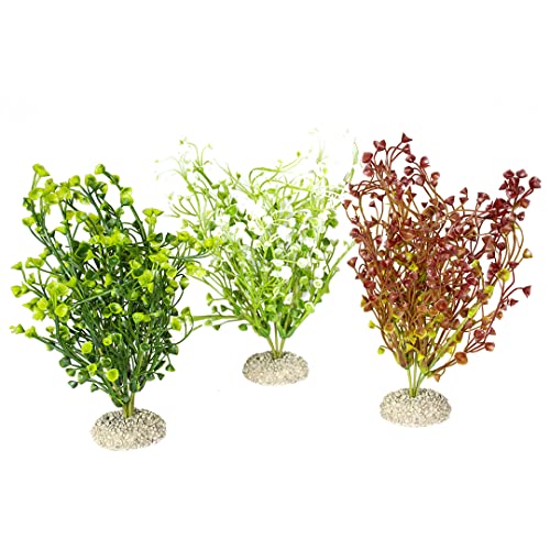 Aqua Della, Farbige Kunstpflanze aus flexiblem Kunststoff BACOPA M – 25 cm, robuster Standfuß, bietet Schuppen und Brutstätten, geeignet für Aquarien und Terrarien von Aqua Della