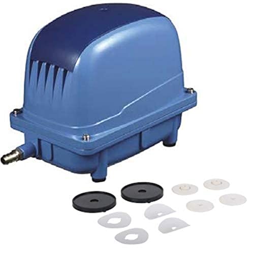 AquaForte AP-80 Luftpumpenset, Luftpumpe inklusive Ersatzmembranen, 55 Watt, Kap. Bei 2 Meter 53 Liter pro Minute, Max. Förderhöhe 3,6 Meter, 3,5 kg, Ausgang 18 Millimeter, blau von AquaForte