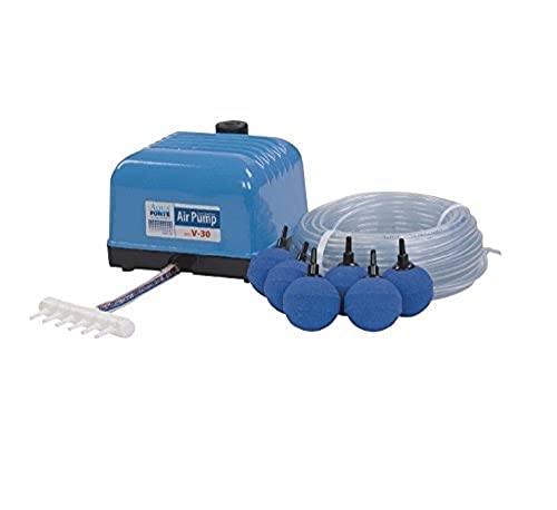 AquaForte Hi-Flow V-30 Luftpumpenset, Komplettset mit Luftverteilern, 25 m Schlauch 4 x 6 mm und 6 Luftsteine 5 cm, Kapazität bei 2 Meter 7 Liter pro Minute, Maximaler Teich 18 m3 von AquaForte