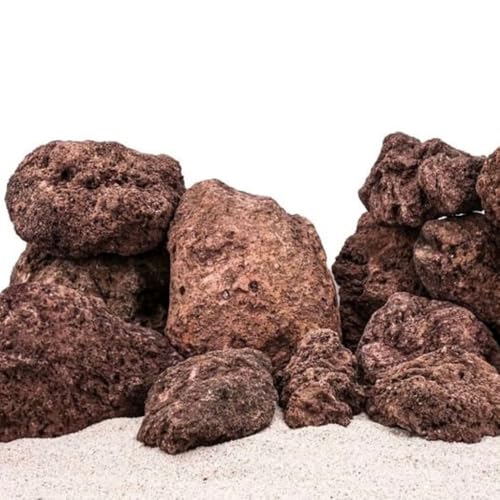 AquaOne Aquarium Steine Rote Lavasteine I Natursteine Lava Gr.XXL 1 Stück 7,0-12,0kg I Aquascaping Gestein für Tank I Lavagestein Dekoration Aquascape Deko AquaOne Aquarium Steine Rote Lavasteine I Natursteine Lava Gr.XXL 1 Stück 7,0-12,0kg I Aquascaping Gestein für Tank I Lavagestein Dekoration Aquascape Deko von AquaOne