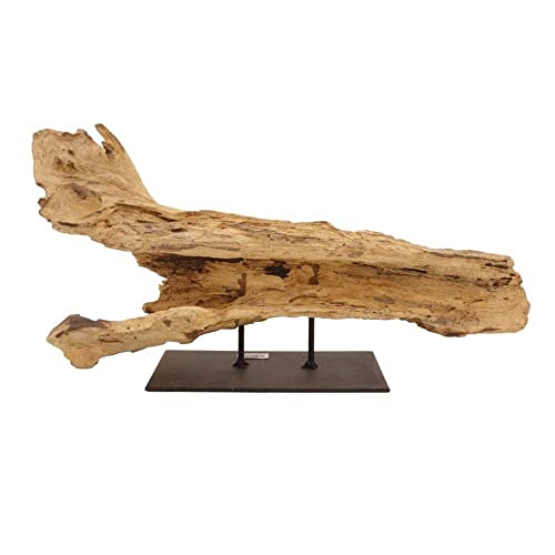 AquaOne Holz Deko Skulptur Rom I Treibholz Naturholz Rustikal Mangrovenwurzel I Möbel Dekoration Natur Tischdeko I Handarbeit Teak Wurzel Unikat Modern von AquaOne