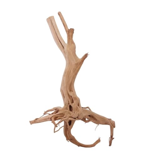 AquaOne Stump Wurzel Nr.2423 Aquarium Wurzel Holz Deko Aquascaping Dekoration Landschaft Mangrove Moorkien Moorwood Moos Natur Echtholz von AquaOne