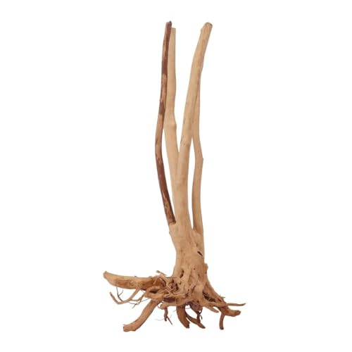 AquaOne Stump Wurzel Nr.2439 Aquarium Wurzel Holz Deko Aquascaping Dekoration Landschaft Mangrove Moorkien Moorwood Moos Natur Echtholz AquaOne Stump Wurzel Nr.2439 Aquarium Wurzel Holz Deko Aquascaping Dekoration Landschaft Mangrove Moorkien Moorwood Moos Natur Echtholz von AquaOne