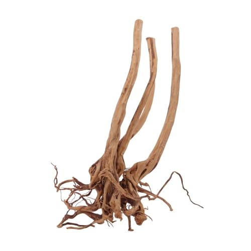 AquaOne Stump Wurzel Nr.2440 Aquarium Wurzel Holz Deko Aquascaping Dekoration Landschaft Mangrove Moorkien Moorwood Moos Natur Echtholz von AquaOne