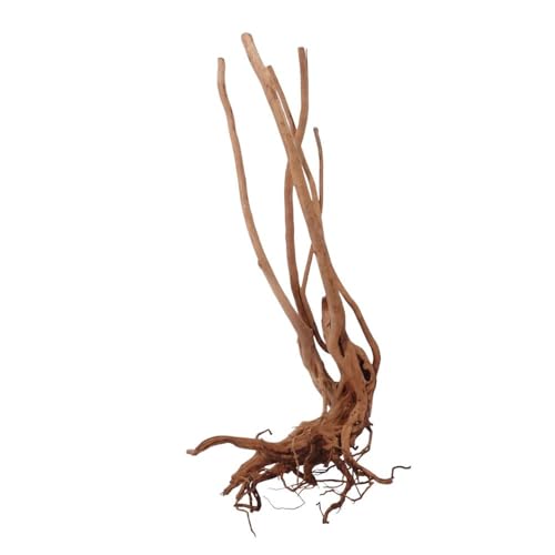 AquaOne Stump Wurzel Nr.2441 Aquarium Wurzel Holz Deko Aquascaping Dekoration Landschaft Mangrove Moorkien Moorwood Moos Natur Echtholz von AquaOne