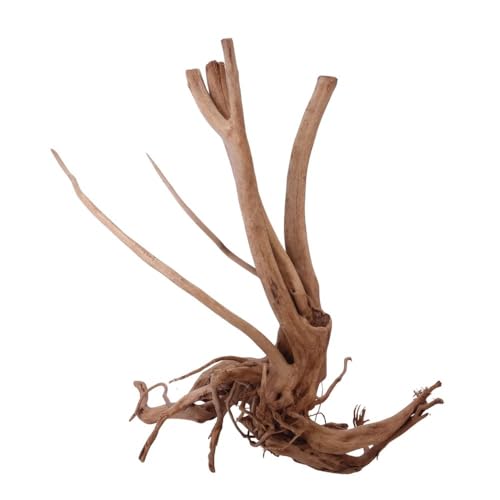 AquaOne Stump Wurzel Nr.2450 Aquarium Wurzel Holz Deko Aquascaping Dekoration Landschaft Mangrove Moorkien Moorwood Moos Natur Echtholz AquaOne Stump Wurzel Nr.2450 Aquarium Wurzel Holz Deko Aquascaping Dekoration Landschaft Mangrove Moorkien Moorwood Moos Natur Echtholz von AquaOne