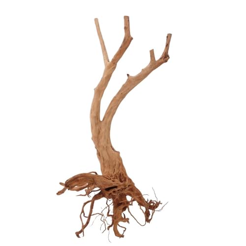 AquaOne Stump Wurzel Nr.2457 Aquarium Wurzel Holz Deko Aquascaping Dekoration Landschaft Mangrove Moorkien Moorwood Moos Natur Echtholz AquaOne Stump Wurzel Nr.2457 Aquarium Wurzel Holz Deko Aquascaping Dekoration Landschaft Mangrove Moorkien Moorwood Moos Natur Echtholz von AquaOne