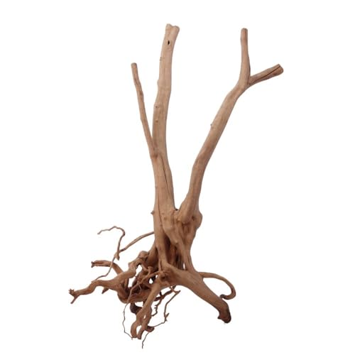 AquaOne Stump Wurzel Nr.2459 Aquarium Wurzel Holz Deko Aquascaping Dekoration Landschaft Mangrove Moorkien Moorwood Moos Natur Echtholz von AquaOne