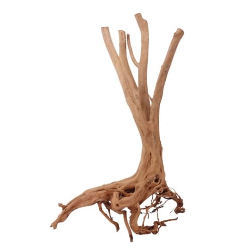 AquaOne Stump Wurzel Nr.2462 Aquarium Wurzel Holz Deko Aquascaping Dekoration Landschaft Mangrove Moorkien Moorwood Moos Natur Echtholz AquaOne Stump Wurzel Nr.2462 Aquarium Wurzel Holz Deko Aquascaping Dekoration Landschaft Mangrove Moorkien Moorwood Moos Natur Echtholz von AquaOne